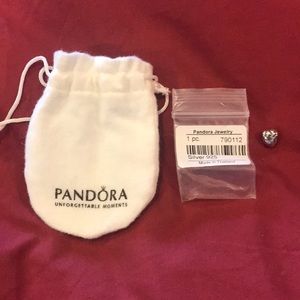 Pandora strawberry charm